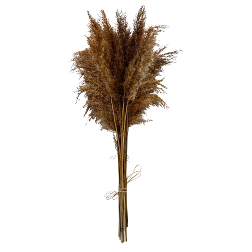 Bouquet artificiel fleur de pampa 80 cm (20 branches) - fleur séchées 